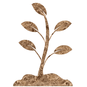 4. Your plants will thank you